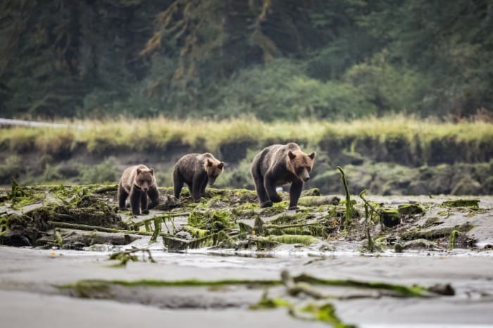 Van Vihar National Park