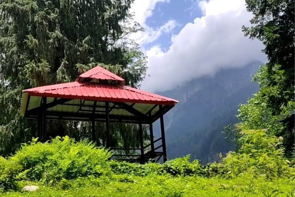 Manali Wildlife Museum