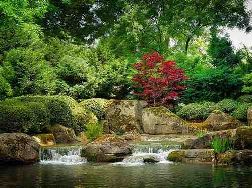 Mhadei Wildlife Sanctuary