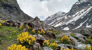 Deo Tibba Base Camp Trek