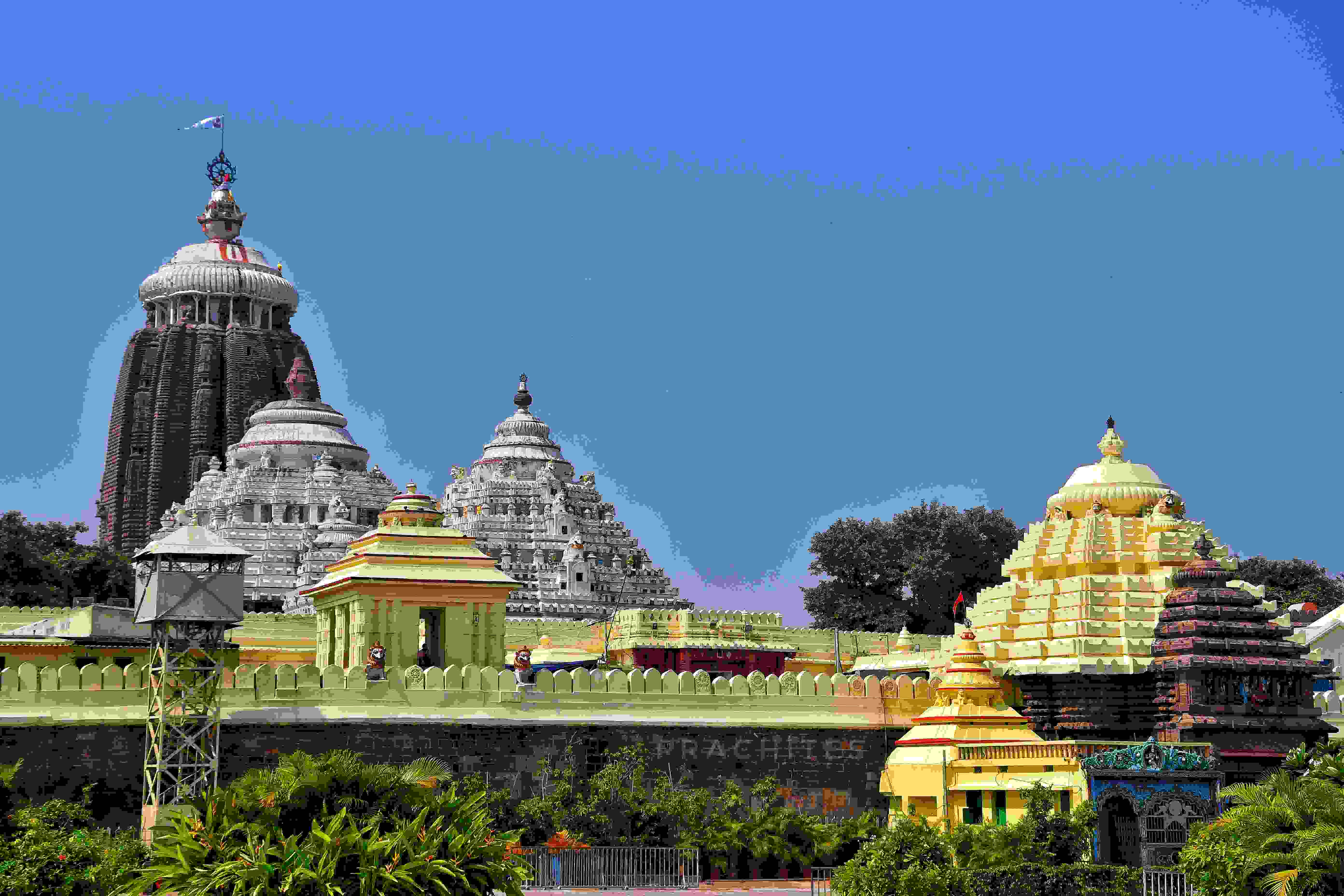 family-packages-odisha