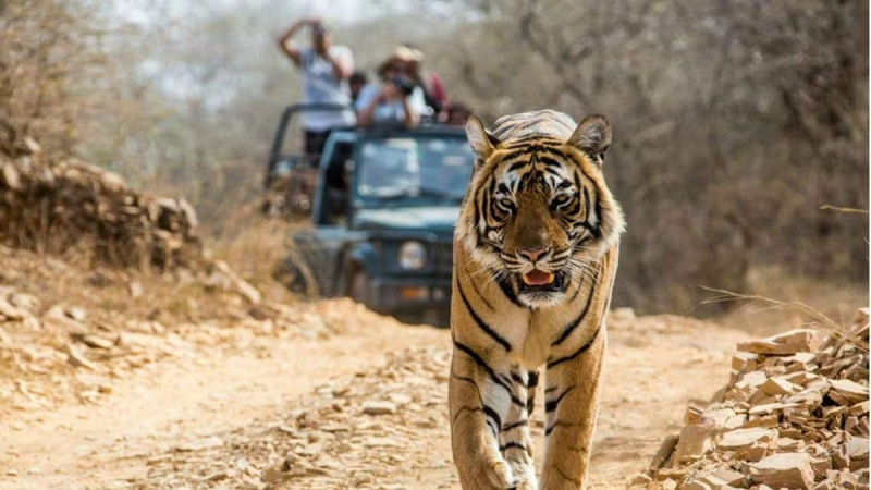 Jim Corbett Park