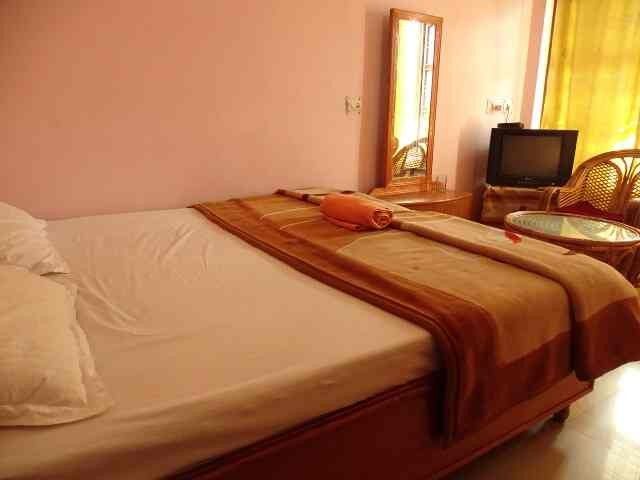 Room view of Hotel Himalayan Inn & Restaurant