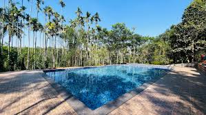 Swimming pool of Pappy's Nest Wayanad Budget Family Resort