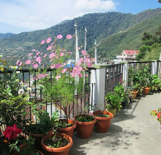 View from Hotel Elysium Bomdila